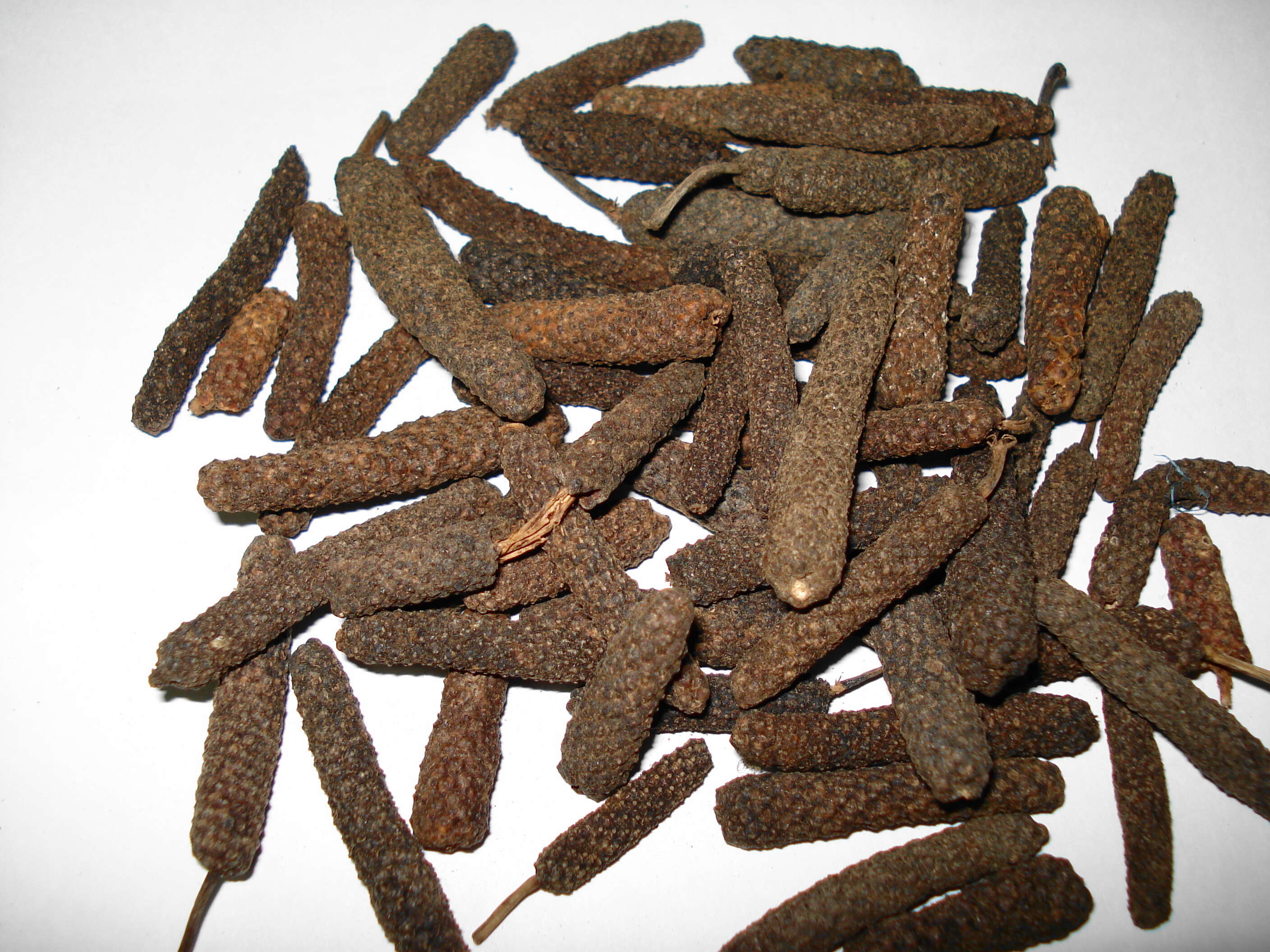 Image of Indian long pepper