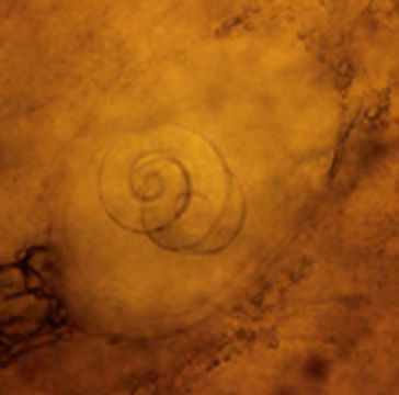509.6045180.580x360