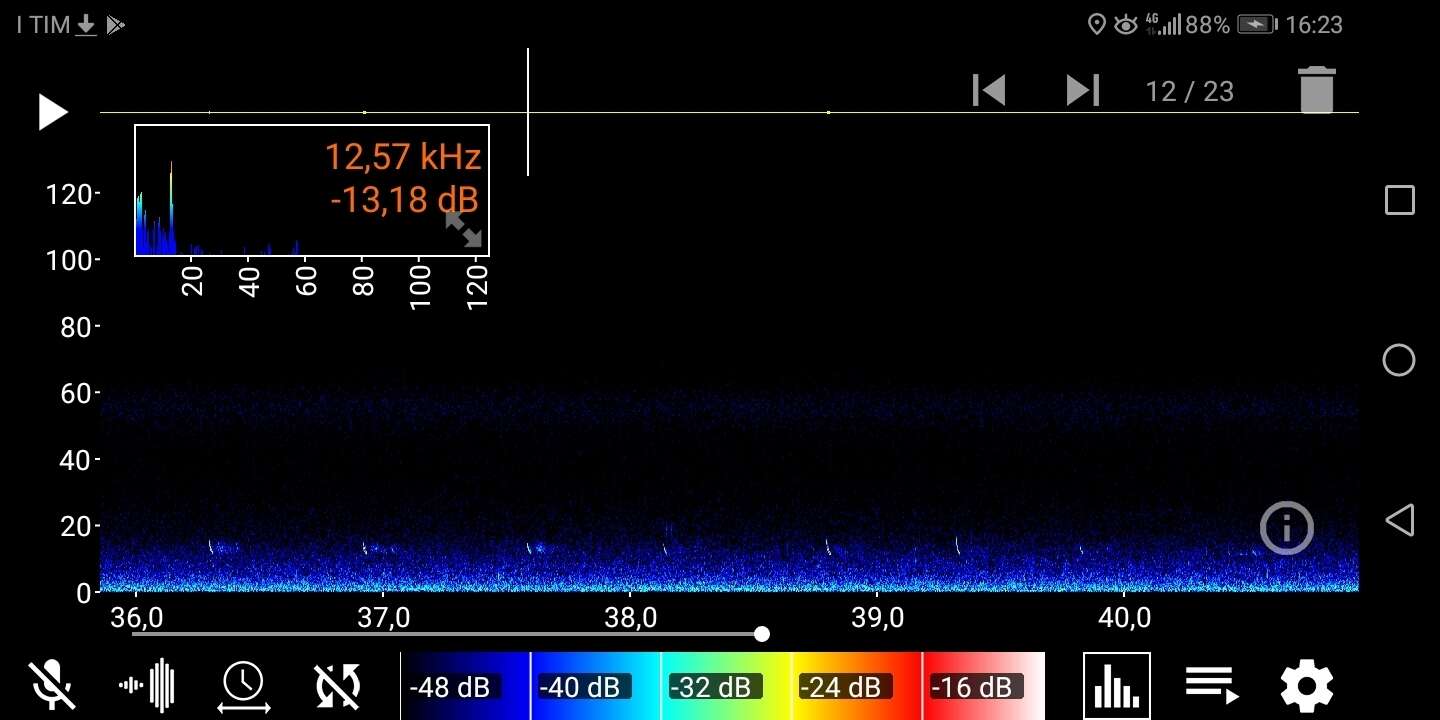 Image of European Free-tailed Bat