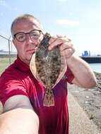 Image of Starry flounders