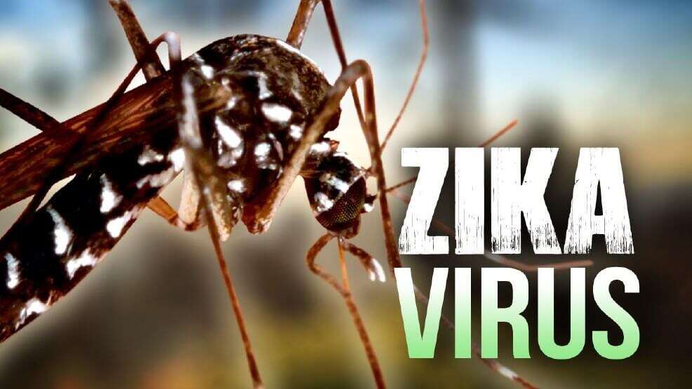 Image of Zika virus