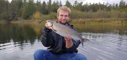 Image of Lake whitefish