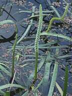 Image of water ribbon