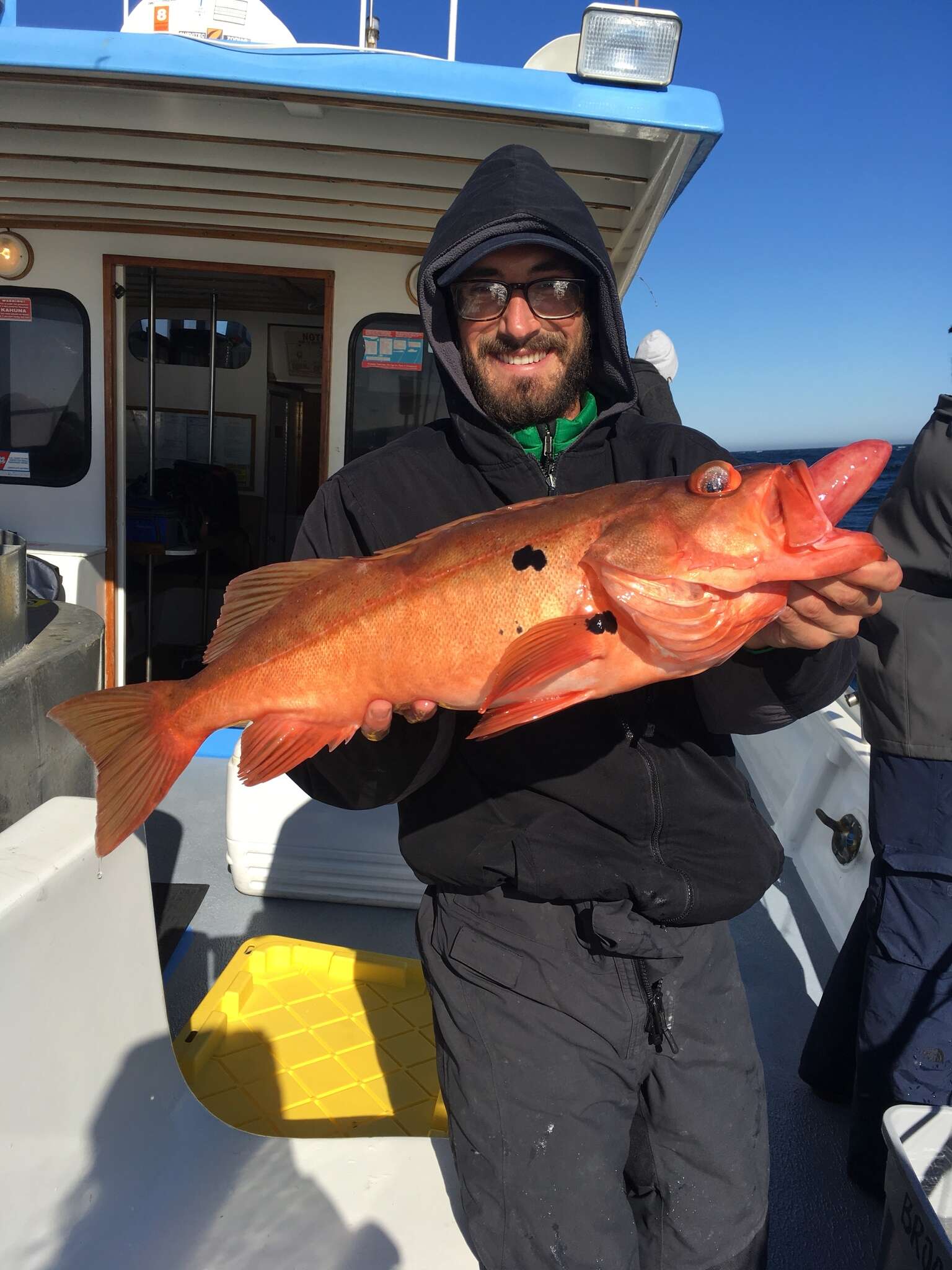 Image of Bocaccio rockfish