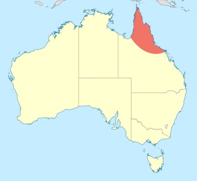 <span class="translation_missing" title="translation missing: en.medium.untitled.map_image_of, page_name: <i>Diphlebia euphoeoides</i>">Map Image Of</span>