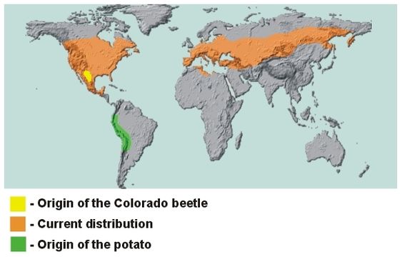 <span class="translation_missing" title="translation missing: en.medium.untitled.map_image_of, page_name: Colorado potato beetle">Map Image Of</span>