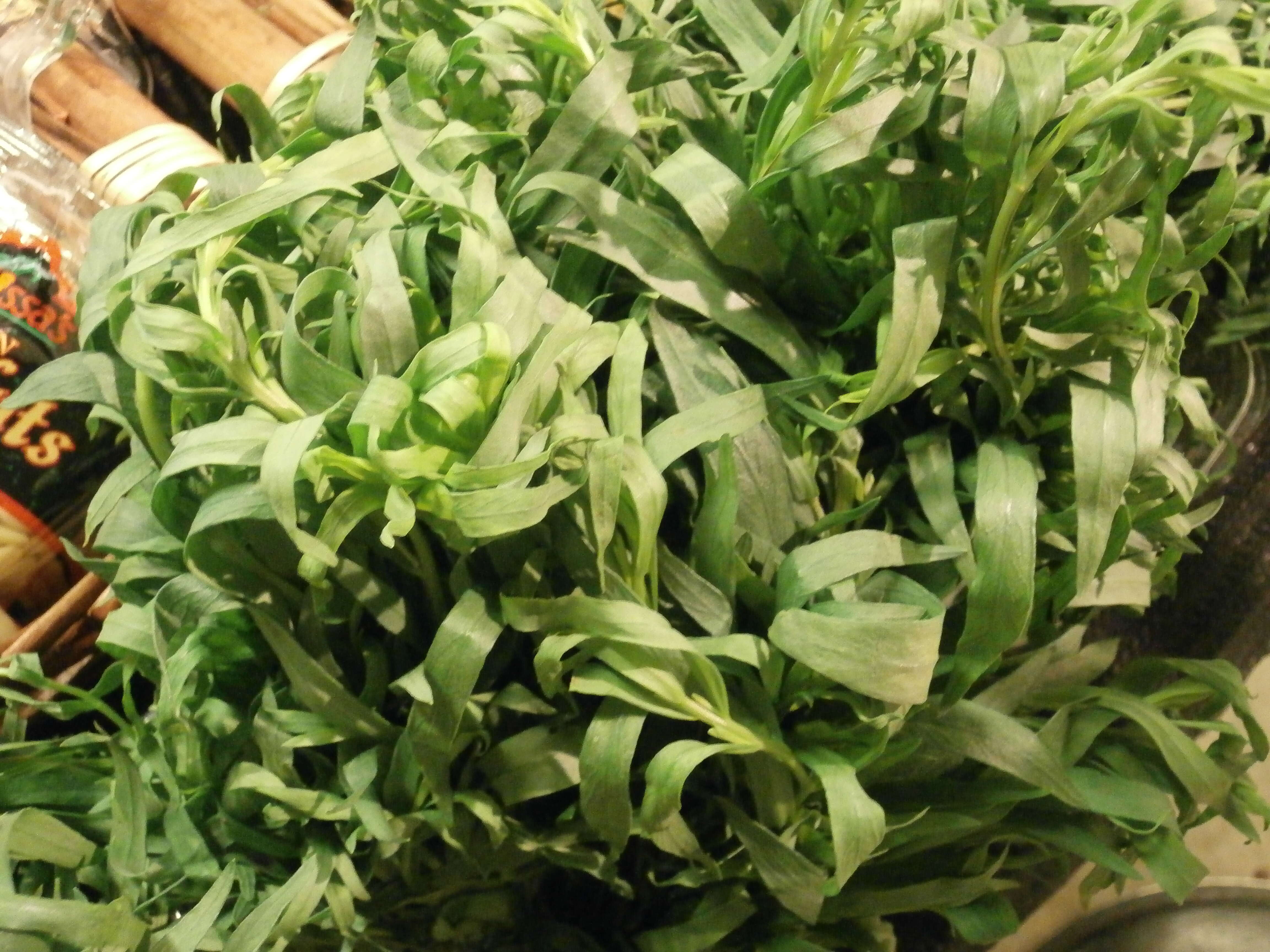 Image of tarragon