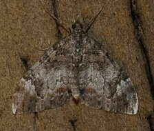 Image of Dark Marbled Carpet