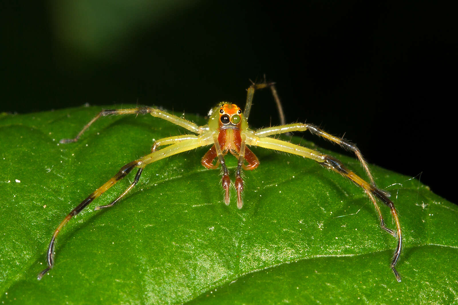 Image of Magnolia Green Jumper