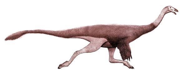 Image of ornithomimids