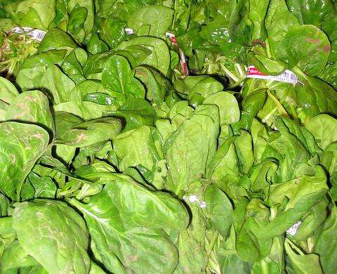 Image of spinach