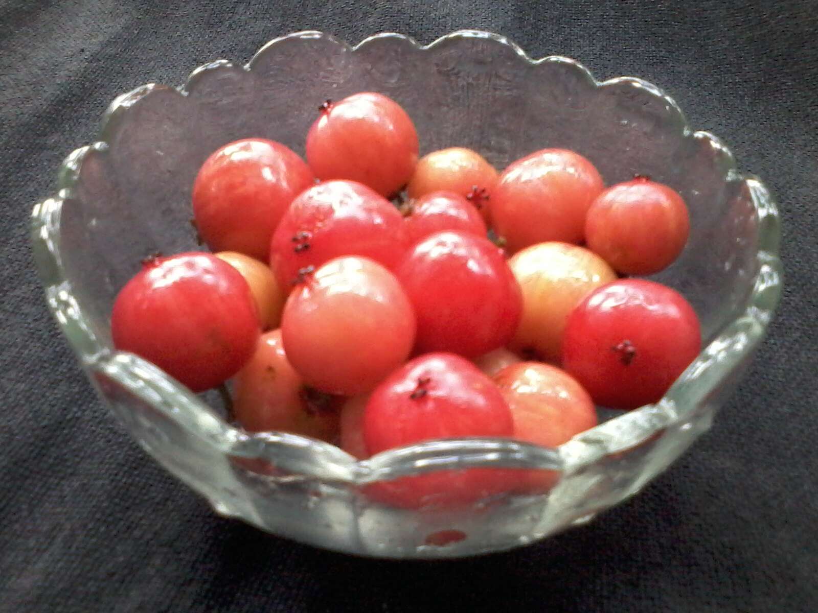 Image of Indian plum