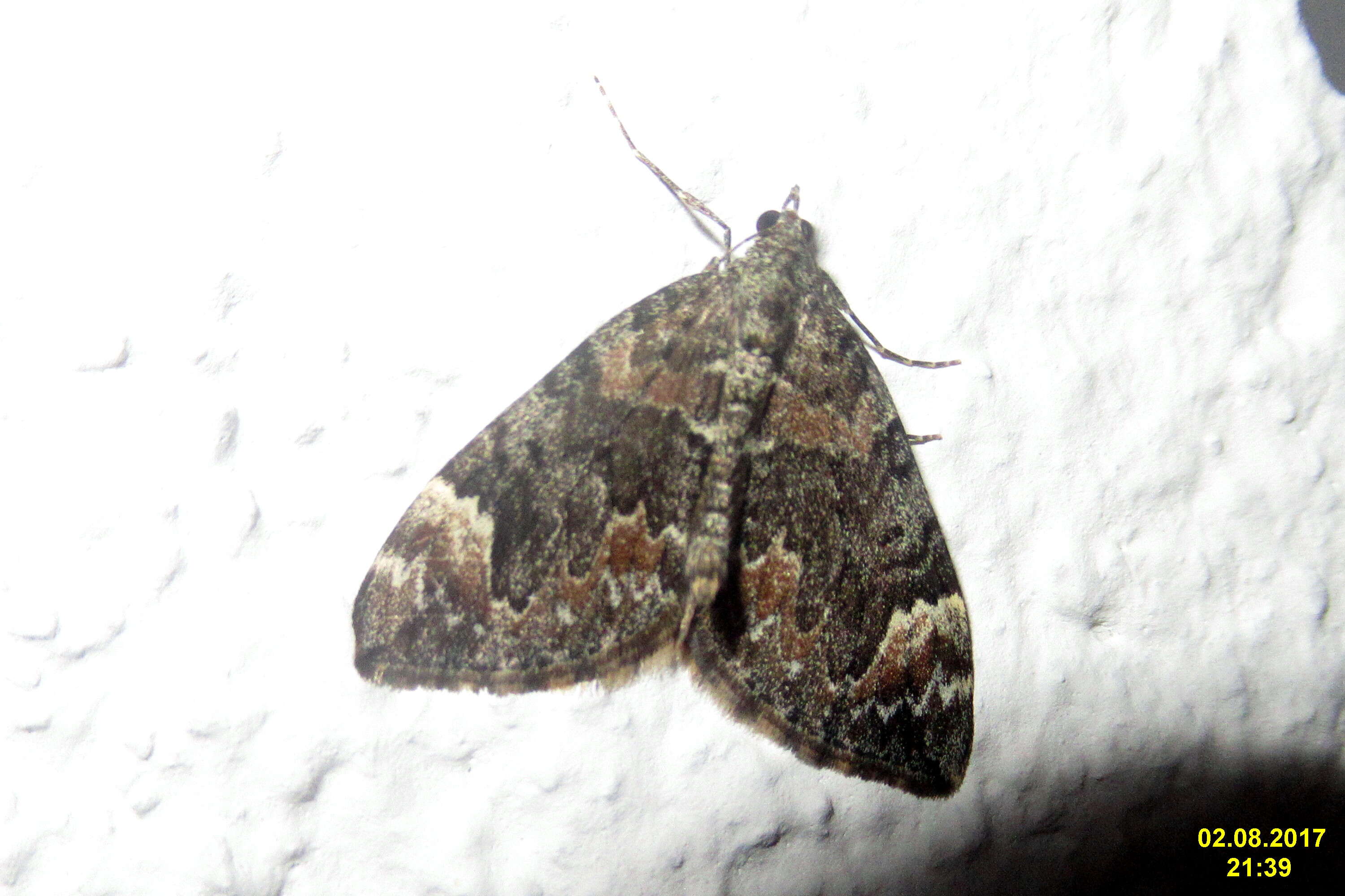 Image of Dark Marbled Carpet