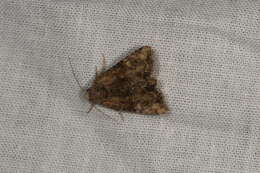 Image of Cloaked Minor