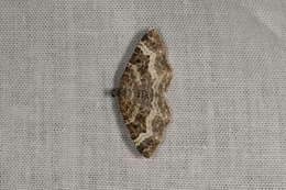 Image of common carpet