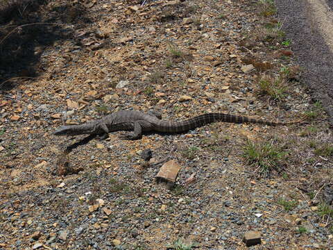 Image of Heath Monitor