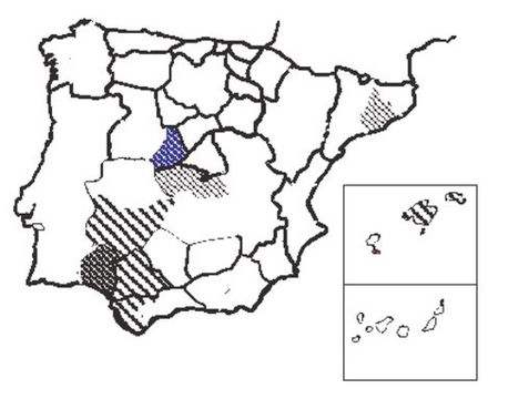 <span class="translation_missing" title="translation missing: en.medium.untitled.map_image_of, page_name: ÃTriticale">Map Image Of</span>