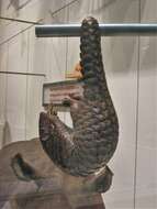 Image of Chinese Pangolin