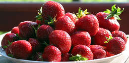 Image of Garden strawberry