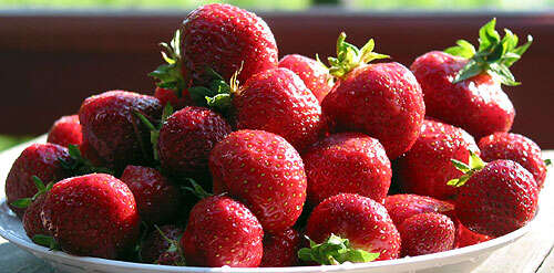 Image of Garden strawberry