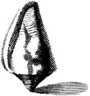 Image of coronated cone