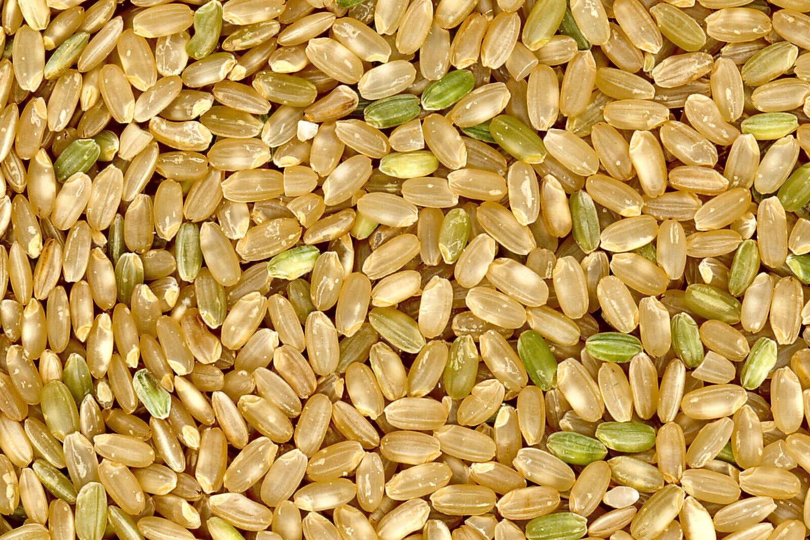 Image of rice