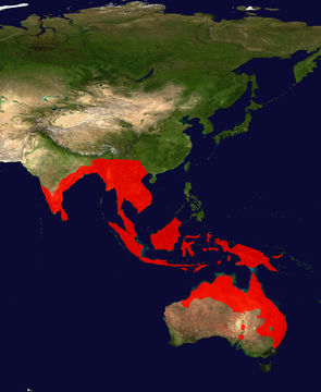 <span class="translation_missing" title="translation missing: en.medium.untitled.map_image_of, page_name: Black-necked stork">Map Image Of</span>
