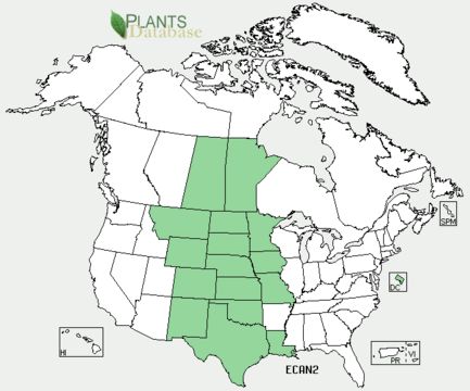 <span class="translation_missing" title="translation missing: en.medium.untitled.map_image_of, page_name: blacksamson echinacea">Map Image Of</span>