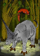 Image of Sinotherium