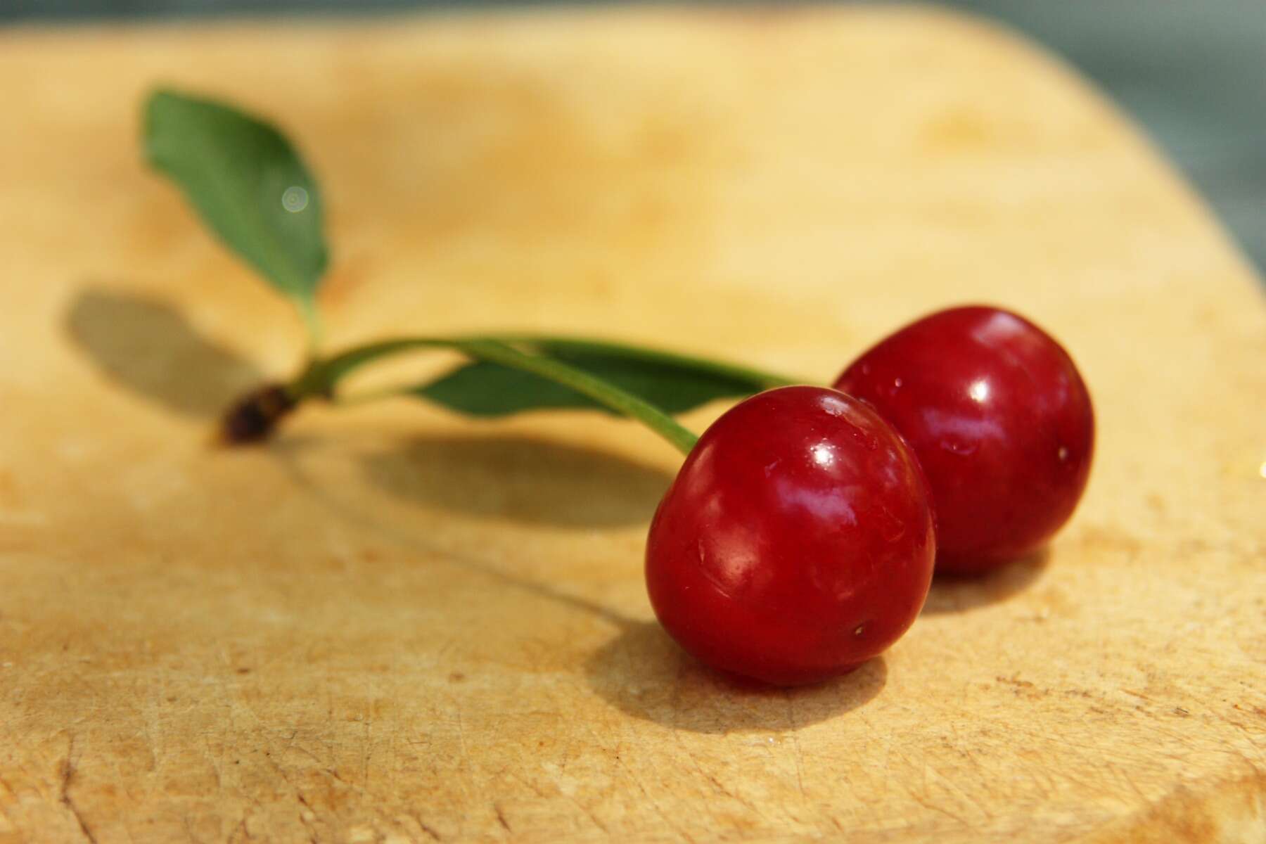 Image of sour cherry