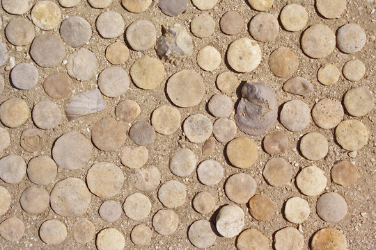 509.7113576.580x360