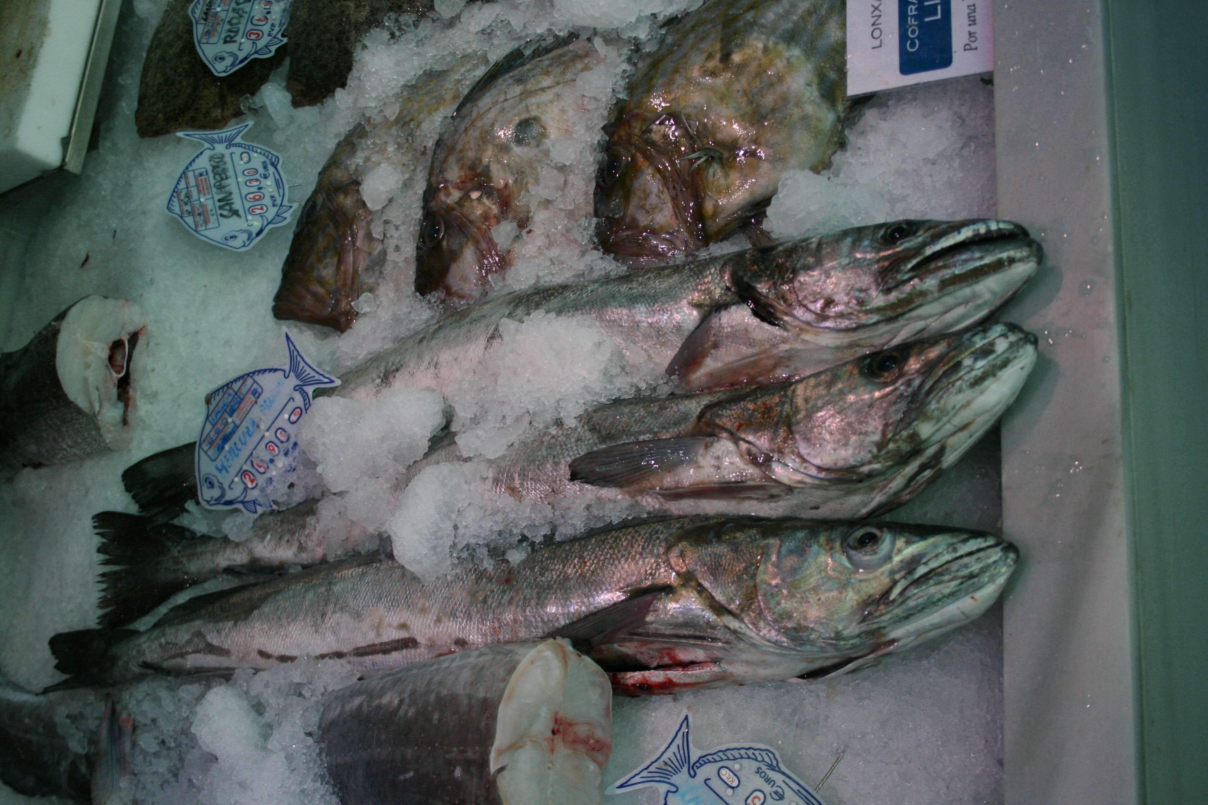 Image of Cornish Salmon