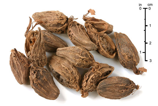 Image of black cardamom