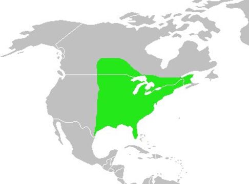 <span class="translation_missing" title="translation missing: en.medium.untitled.map_image_of, page_name: Brown thrasher">Map Image Of</span>