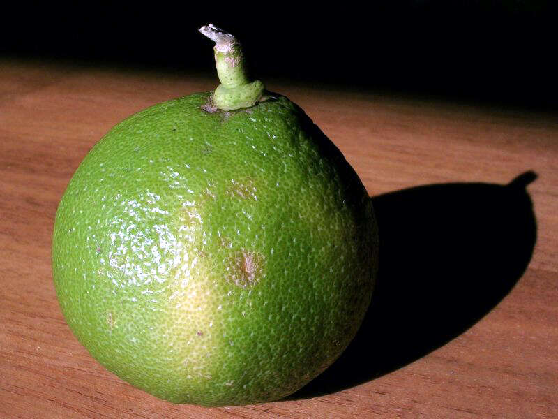 Image of lemon