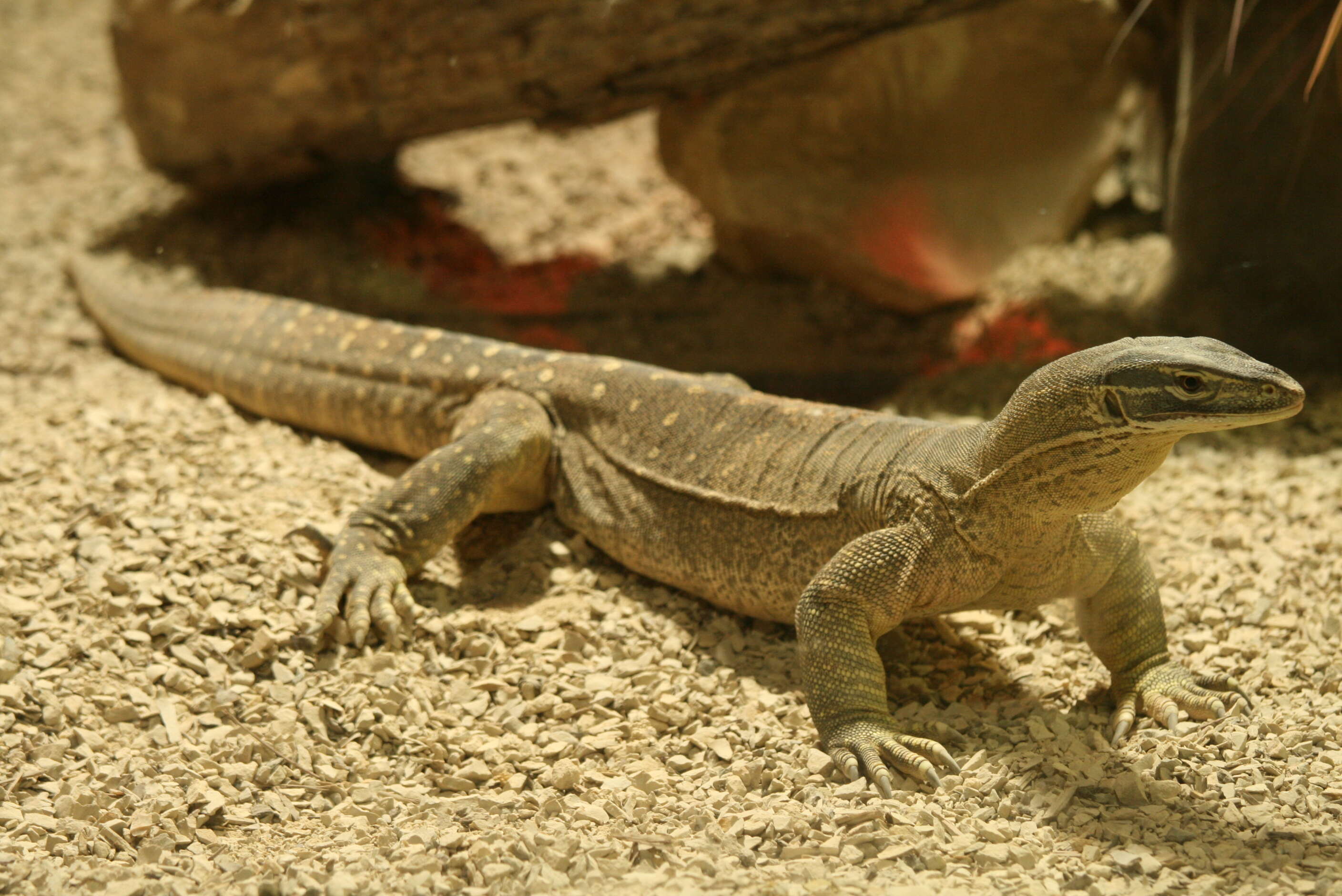 Image of Sand Monitor