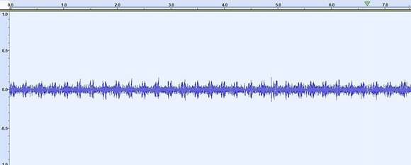 Image of Vocal Field Cricket