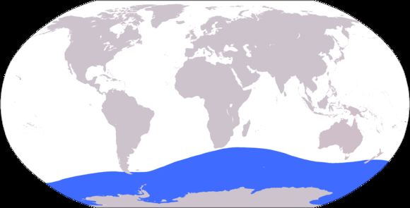 <span class="translation_missing" title="translation missing: en.medium.untitled.map_image_of, page_name: Colossal squid">Map Image Of</span>