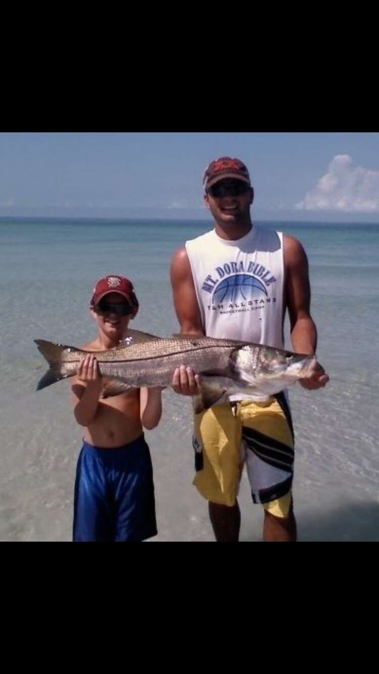 Image of Common Snook