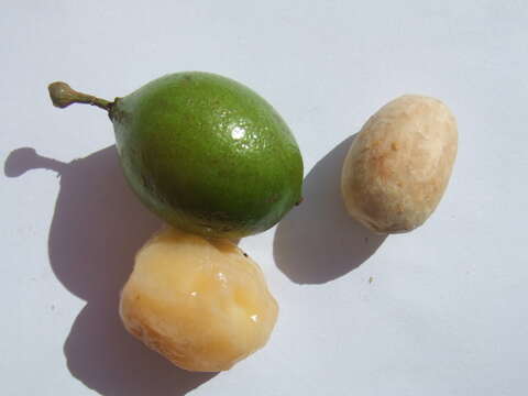 Image of Spanish lime