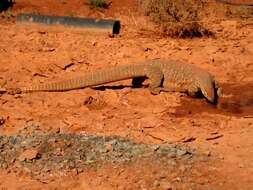 Image of Sand Monitor