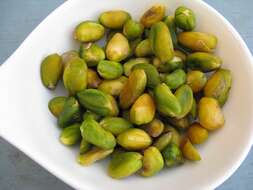 Image of pistachio nut