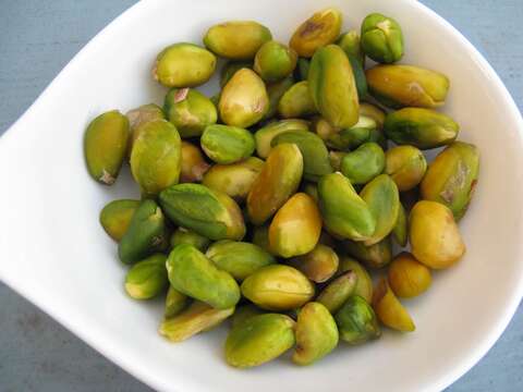 Image of pistachio nut