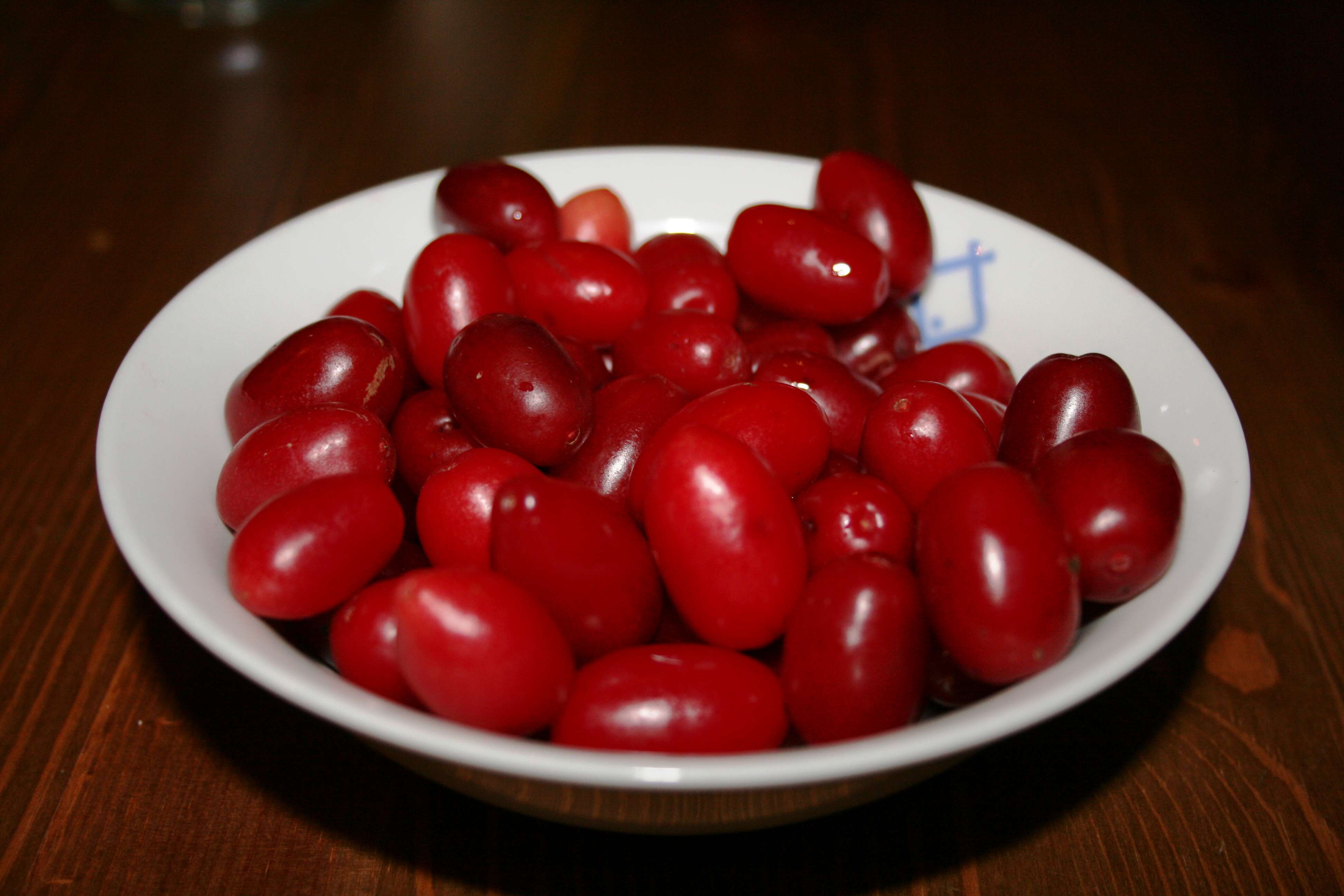 Image of Cornelian cherry dogwood