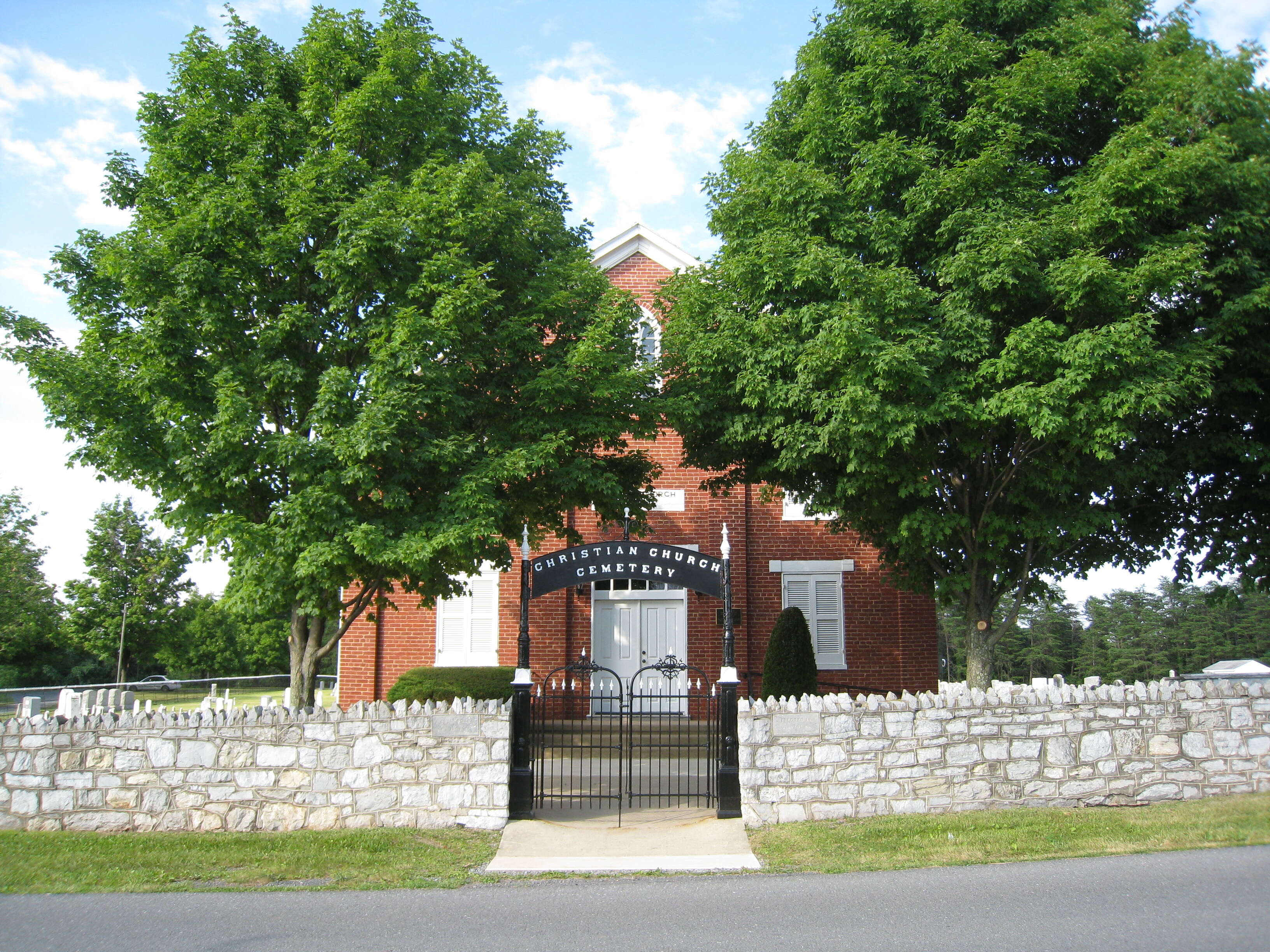 Image of sugar maple