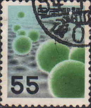 Image of Marimo (or ball seaweed)