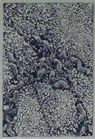Image de Helicobacteraceae