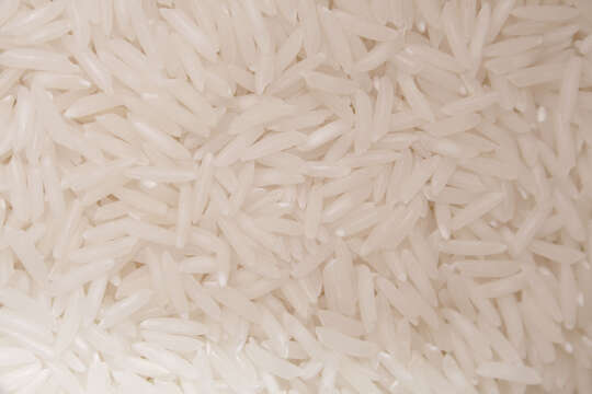 Image of rice