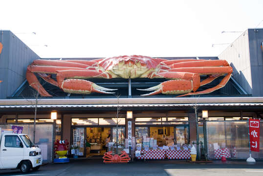 Image of Snow Crab