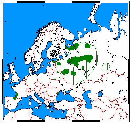 badgers, otters, weasels, and relatives maps - Encyclopedia of Life